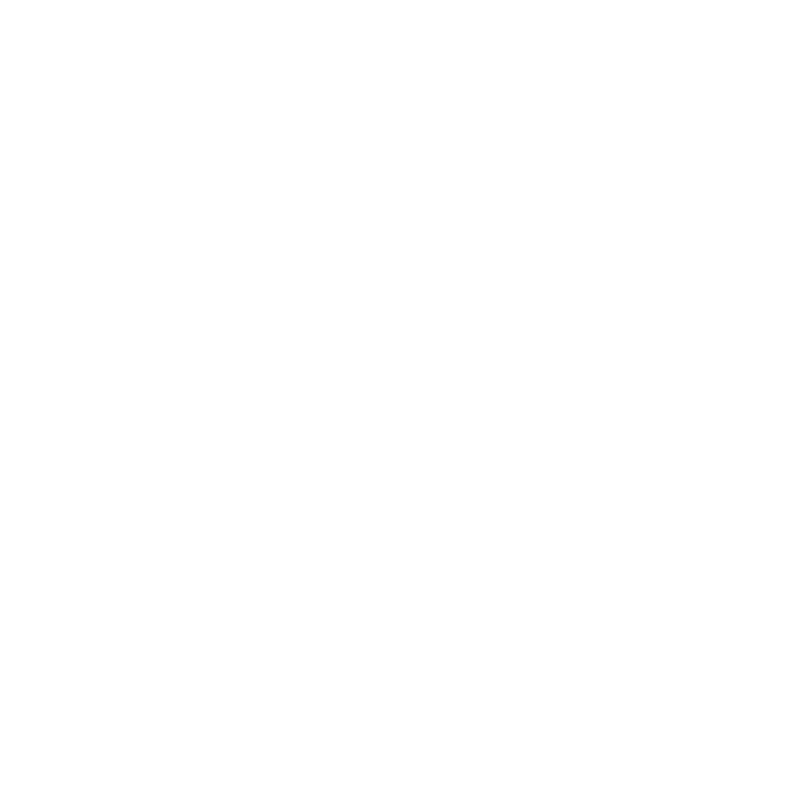 icon-einzelbetreuung