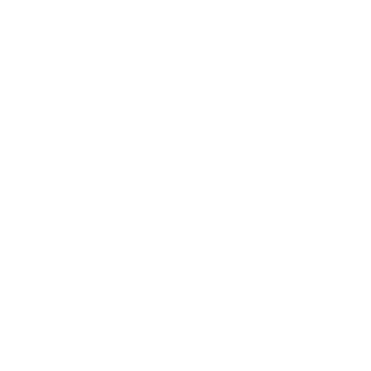icon-soziale-teilhabe mittendrin